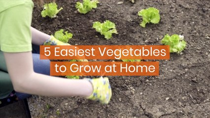 Learn To Grow These Veggies