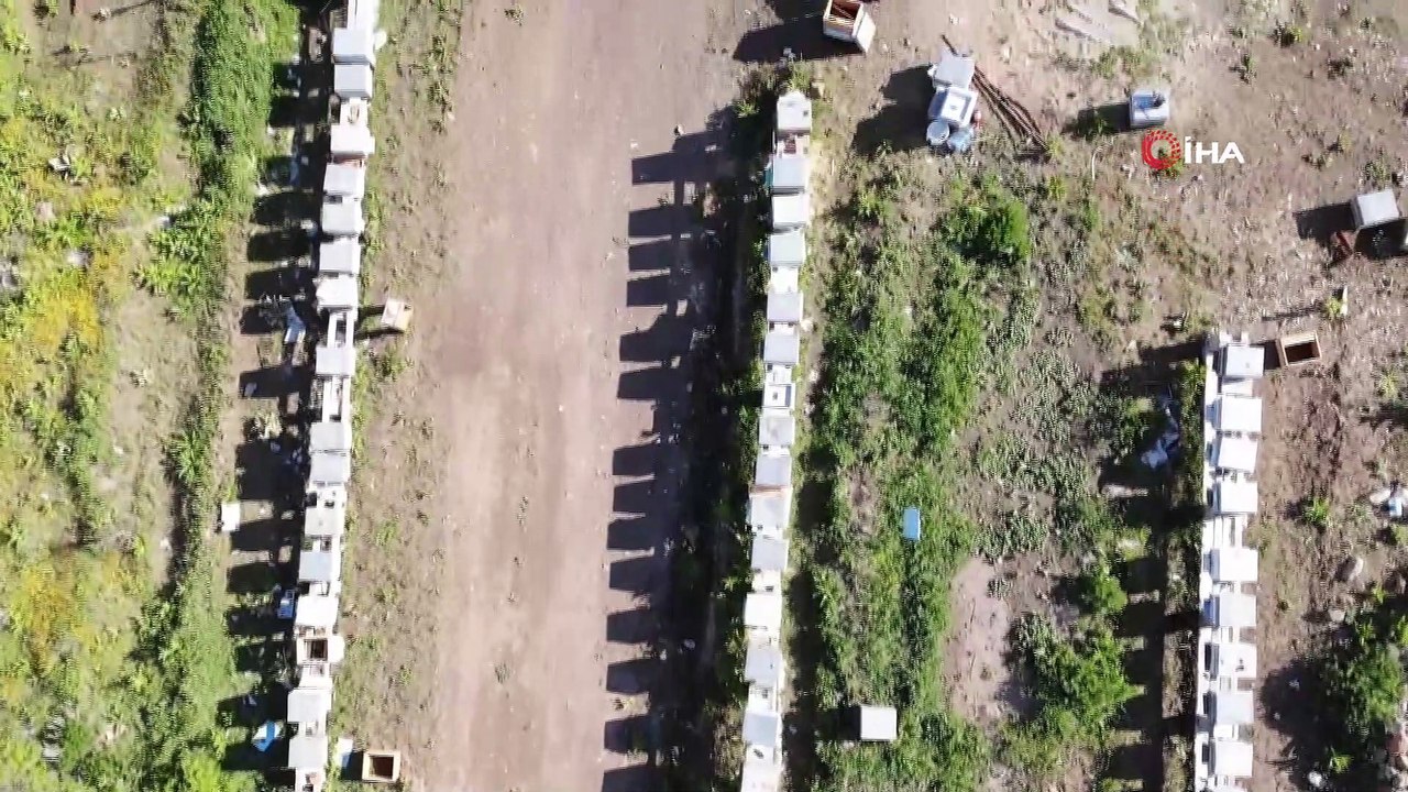 Geçen sene 75 liradan satılan balın kilosu bu sene 100 lira