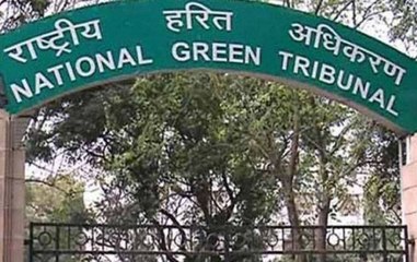 Government did not file any review petition on Odd-Even plan, says NGT
