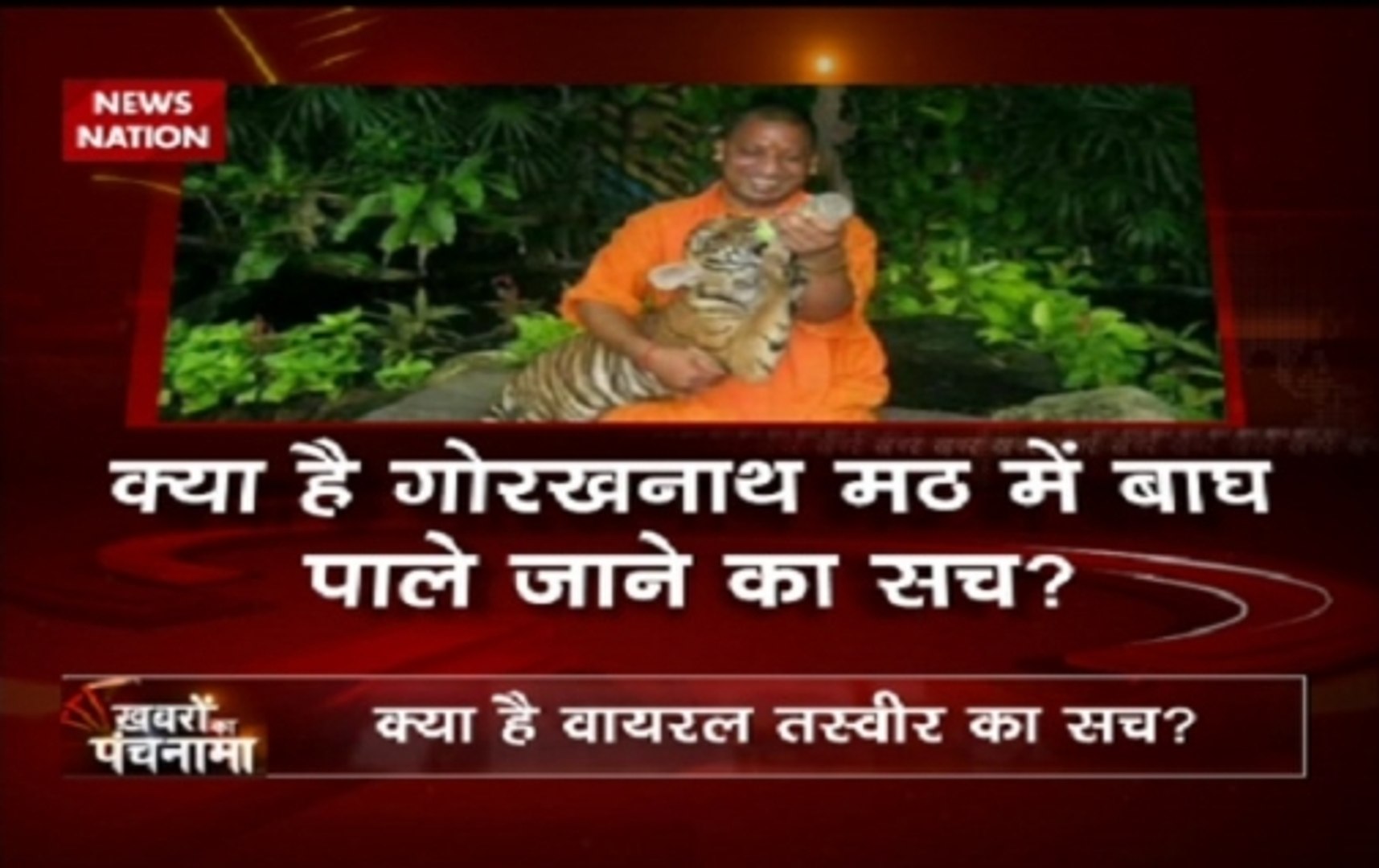Khabron Ka Punchnama: Video showing CM Yogi Adityanath with pet tigers goes  viral - video Dailymotion
