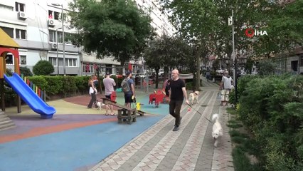 Polisin ceza kestiği kadından gazeteciye tehdit: “Annem medya danışmanı, senin peşini bırakmayacağım”