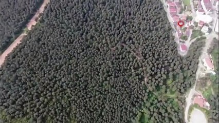 Ormanda piknik yapan 2 kişi drone ile tespit edildi