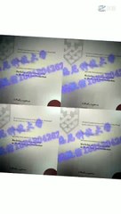 7.【澳洲真实学历文凭认证】【Q微1851304262】【UNE  新英格兰大学 】【毕业证+成绩单】真实留信网认证 真实使馆认证 真实留服认证 雅思成绩单  托福成绩单 录取通知书  硕士学位认证 修改GPA ——University of New England diploma