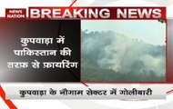 Jammu & Kashmir: Pakistan violates ceasefire in Nowgam sector of Handwara