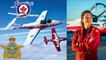 The Snowbirds - A Dedication to the Royal Canadian Air Force 431 Demonstration Team