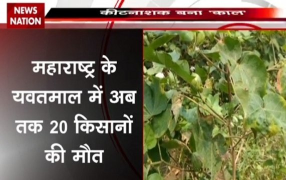 20 farmers die of pesticide poisoning in Maharashtra; over 1,800 affected