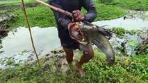 New System Fish Catching ! Primitive Technology Fish Catching !