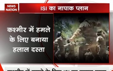 ISI creates Halal Dasta to carry out terror attacks on security forces in J&K