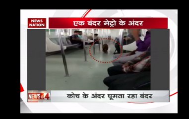 Monkey takes ride of Delhi metro video gets viral on social media
