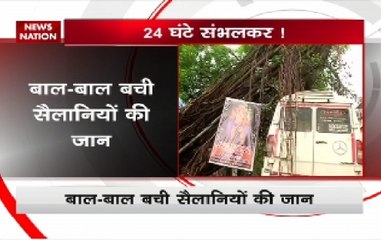 Mumbai: Tree falls down due to heavy rain in Dadra area