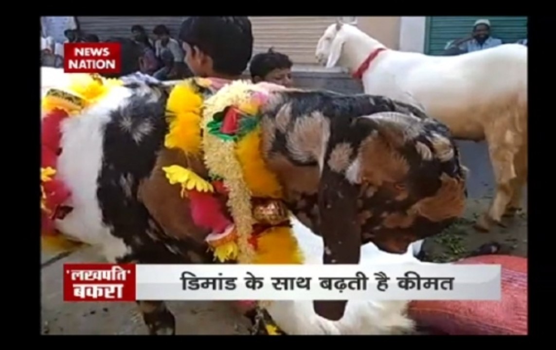 Bakrid Special: Goats on high demand