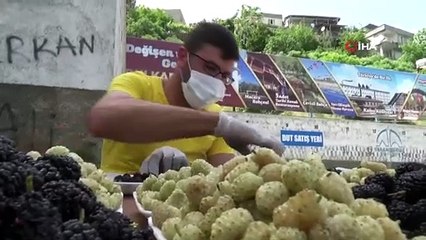 Şifa Deposu ‘Dut’ Tezgahlarda Yerini Aldı