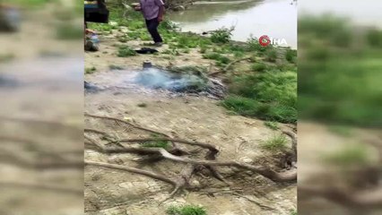 Yasağa rağmen kaçak av yapıp çay keyfi yaparken yakalandılar