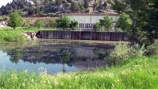 Beyşehir Gölü kenarındaki atıl sulama pompa istasyonunda toplu balık ölümü - KONYA