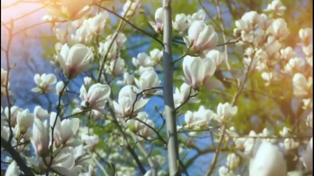 स्वयं को प्राप्त कर लेना हीं जीवन का अंतिम उद्देश्य है....