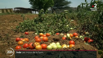 Coronavirus : le spectre de la famine en Inde