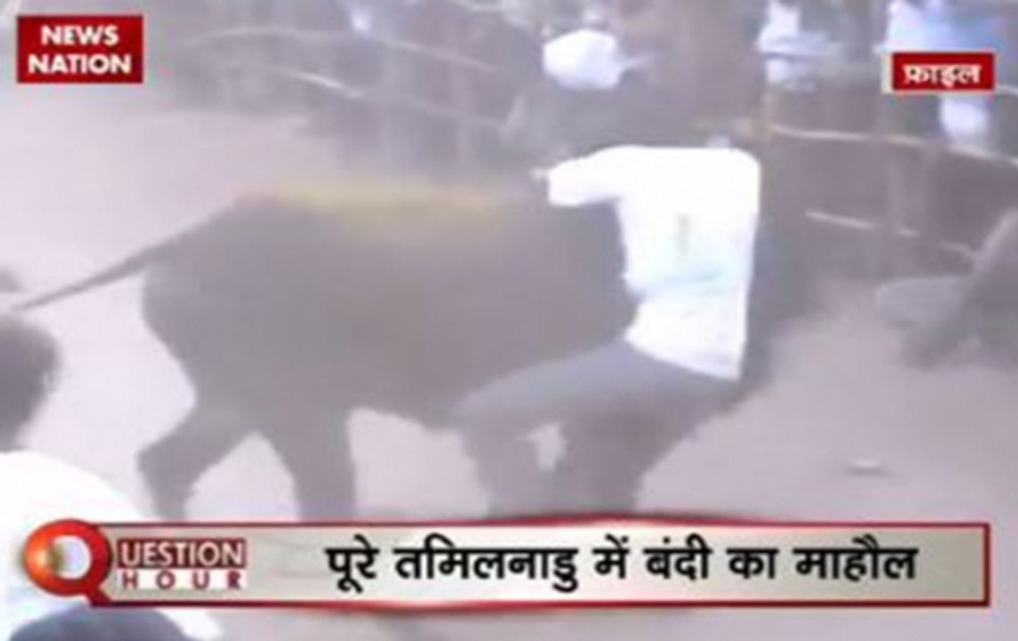 Question Hour: Pro Jallikattu protests at Marina beach reach its peak