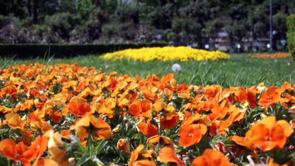 Im Sommer in den Süden?