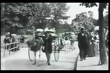 Autruches (Avestruces) [1895]