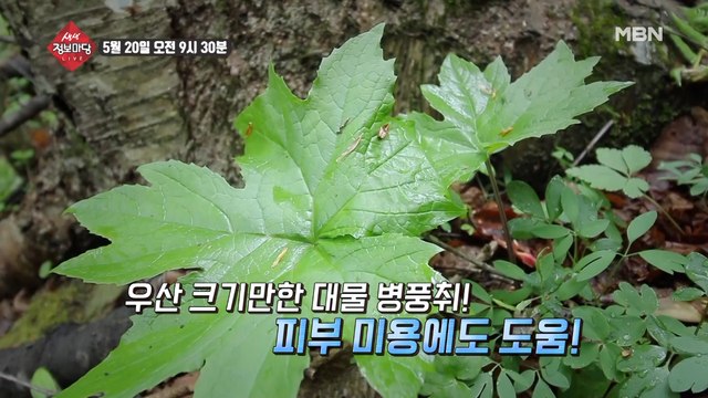 생생 정보마당 [635회] - 실속 있는 수요일
