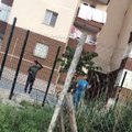 Ankara Batıkent'te köpek besleyen kadına saldırı