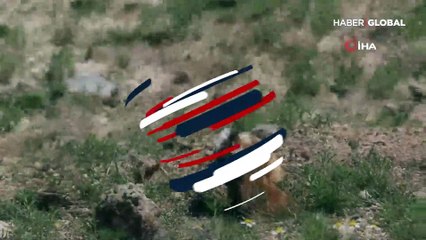 Eskişehir'de ilk defa görüntülendi! Hemen kayıt altına alındı