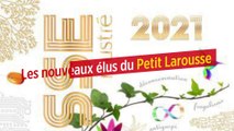 Les nouveaux élus du Petit Larousse