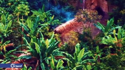 كورونا يجتاح غابات الأمازون و قبائل أصلية مهددة بالاصابة