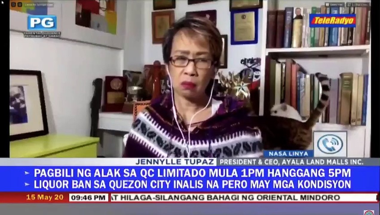Une journaliste tente de garder son calme alors que ses chats se battent furieusement derrière elle en direct