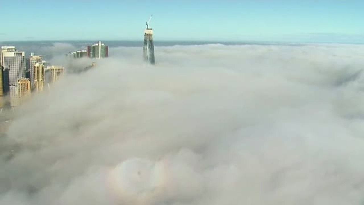 La niebla cae sobre Sidney