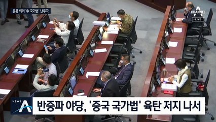‘中 국가법 반대’ 홍콩 의회서 ‘친중파 vs 반중파’ 난투극