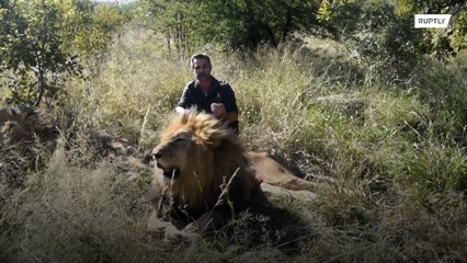 The ‘Tiger King’ may be in prison, but the ‘Lion Whisperer’ is also in trouble