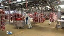 Trois abattoirs français abritent des foyers de contamination du coronavirus