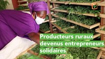 Burkina Faso : Producteurs ruraux devenus entrepreneurs solidaires