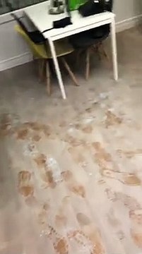 Aftermath as vandals shoot fire extinguishers through window of Blackhall diner