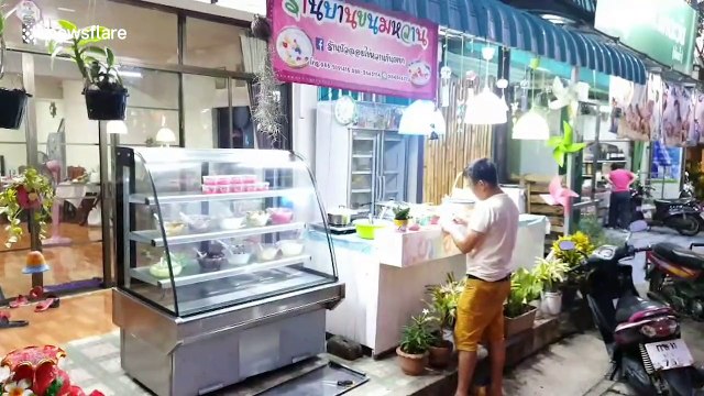 Sweet shop owner finds monitor lizard cooling off in ice cream machine