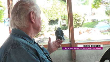 Le zoo de Saint-Martin-la-Plaine a rouvert !