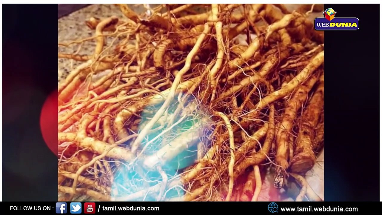 அஸ்வகந்தா  மூலிகையின் அற்புத பயன்கள்