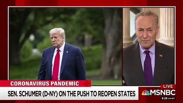 Sen. Schumer Criticizes Trump's Leadership: 'He Does Whatever Suits His Ego At The Moment'