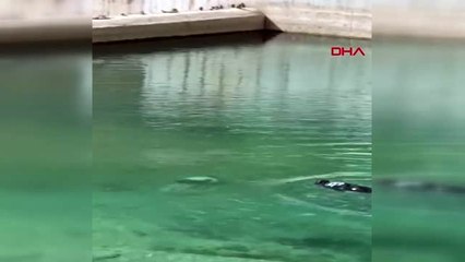 18 yaşındaki Umut yüzmeye girdiği gölette boğuldu