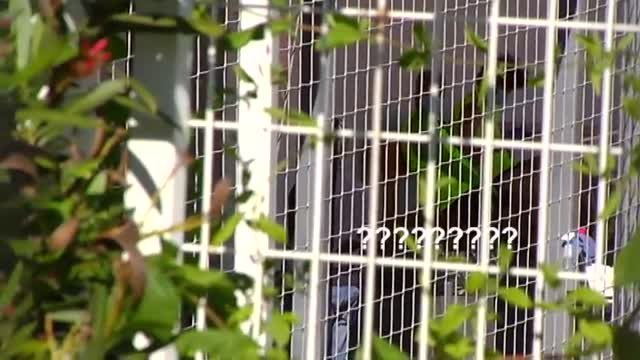 Fuerte discusión entre Jémez y el director deportivo del Rayo