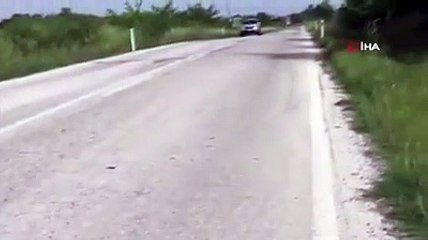 Tekirdağ'da yola atlayıp can çekişen 'Kırbaç Yılanı' saniye saniye kamerada İşte o anlar