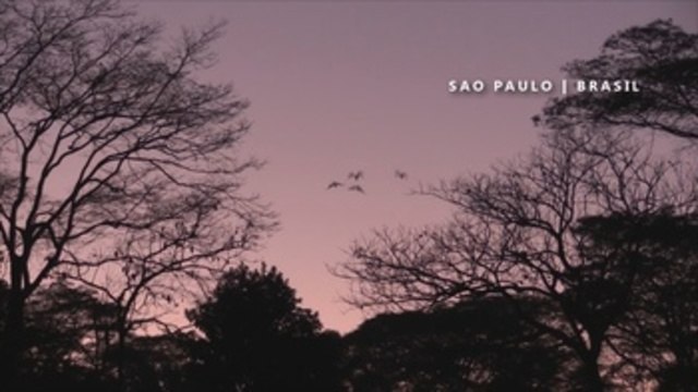 Muertos y más muertos: las frenéticas jornadas de los sepultureros brasileños