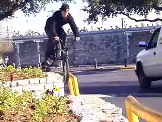 Animal Bmx   Bob Scerb