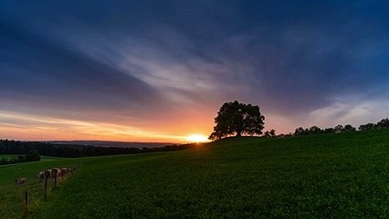 Slow Motion background Video