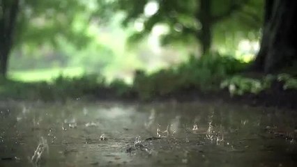 Falling rain drops In Slow M(360P) 2020