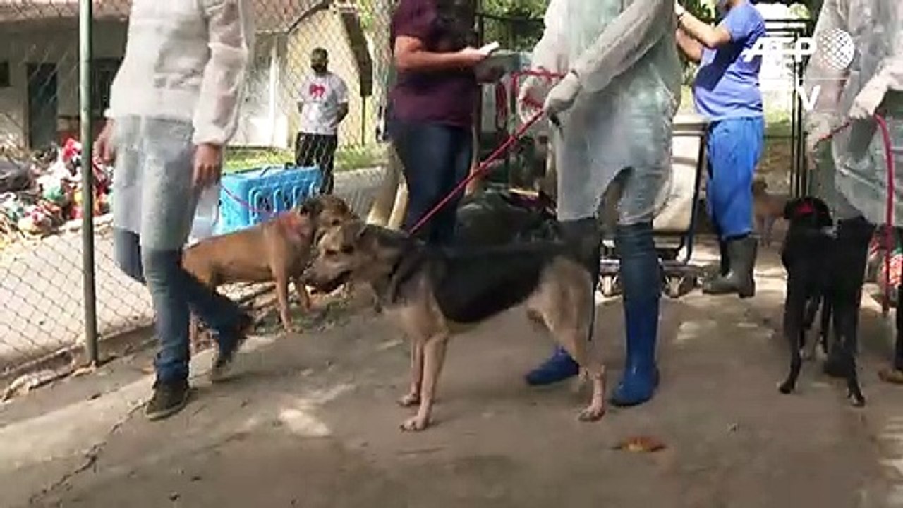 Melhores amigos!
