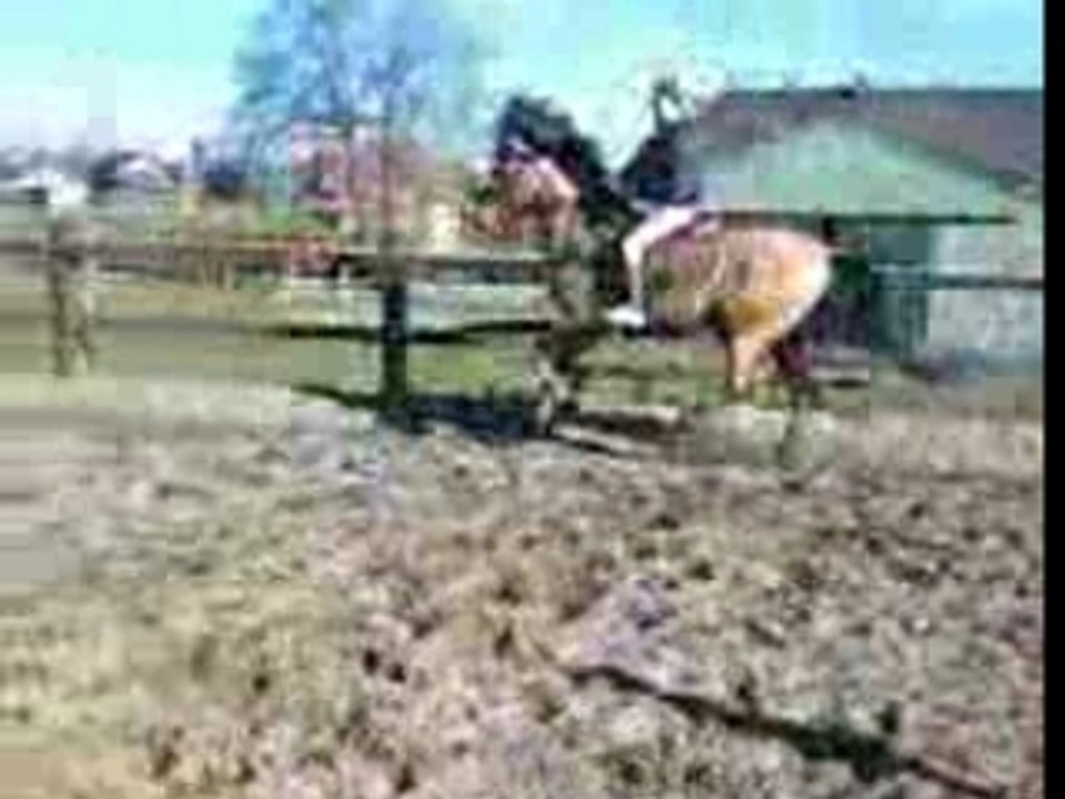 VID023