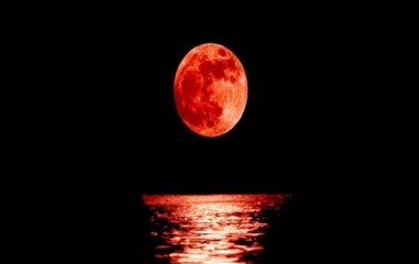 Lunar Eclipse & Astrology: How the Lunar Eclipse is going to affect your zodiac? Watch