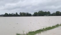 Farm fields under water